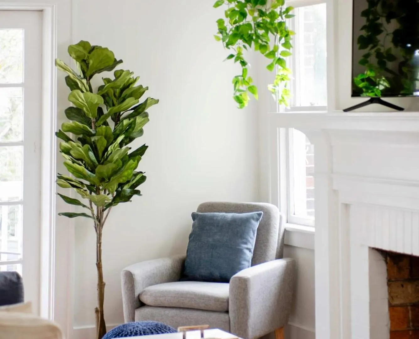 Soho Escape, Gorgeous Apt In Soho District Tampa